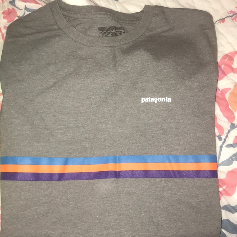 Patagonia stripe t shirt